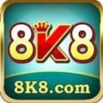 8k8 Casino APK